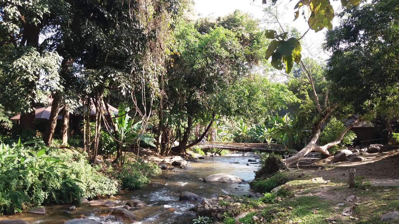 Chae Son National Park - river and trees, photo: Daniel Karwicki