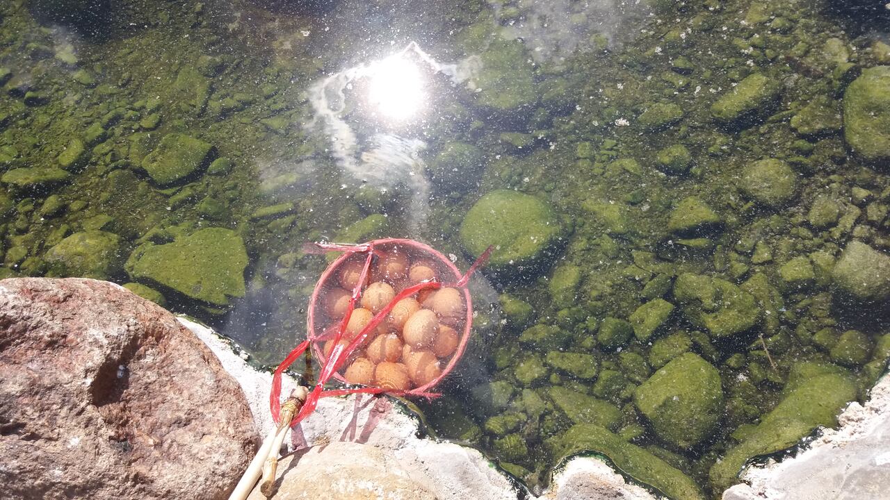 Chae Son National Park - eggs in hot springs, photo: Daniel Karwicki