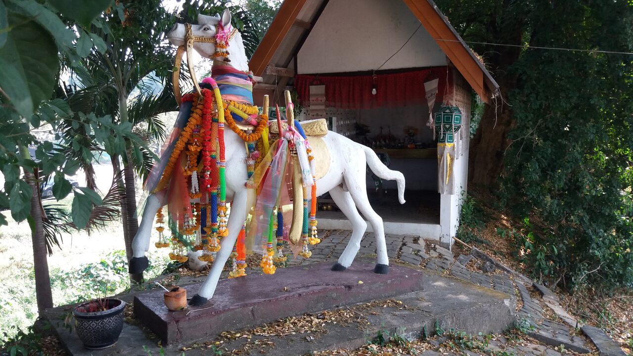 Horse statue next to Pratu Ma in Lampang - photo: Daniel Karwicki