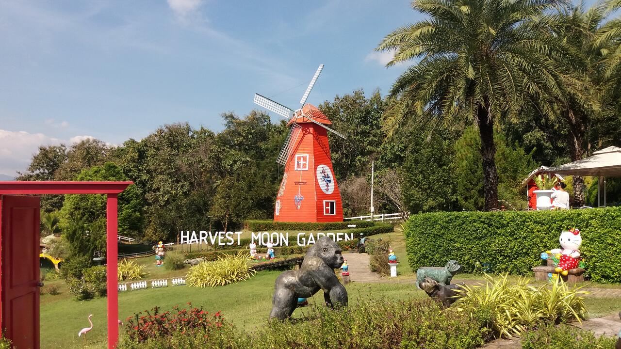 Harvest Moon Farm and Cafe in Lampang Province - photo: Daniel Karwicki