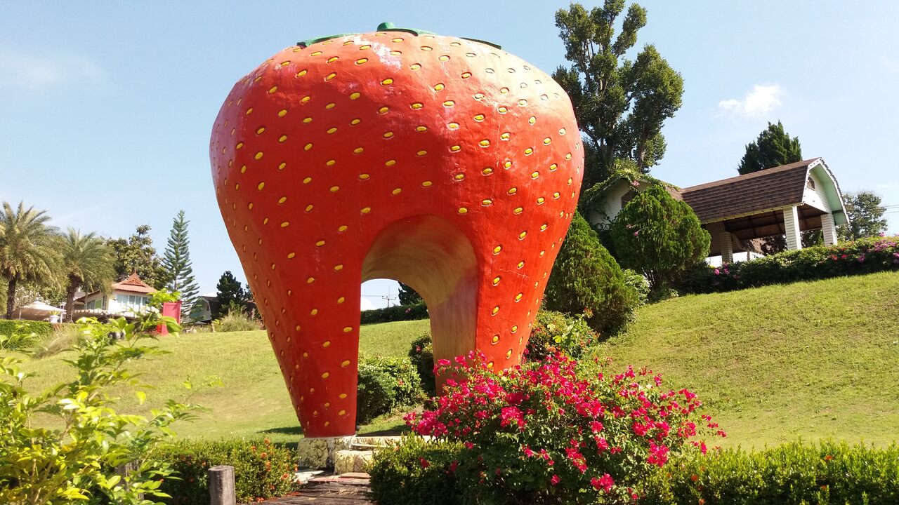 Harvest Moon Farm and Cafe in Lampang Province - photo: Daniel Karwicki
