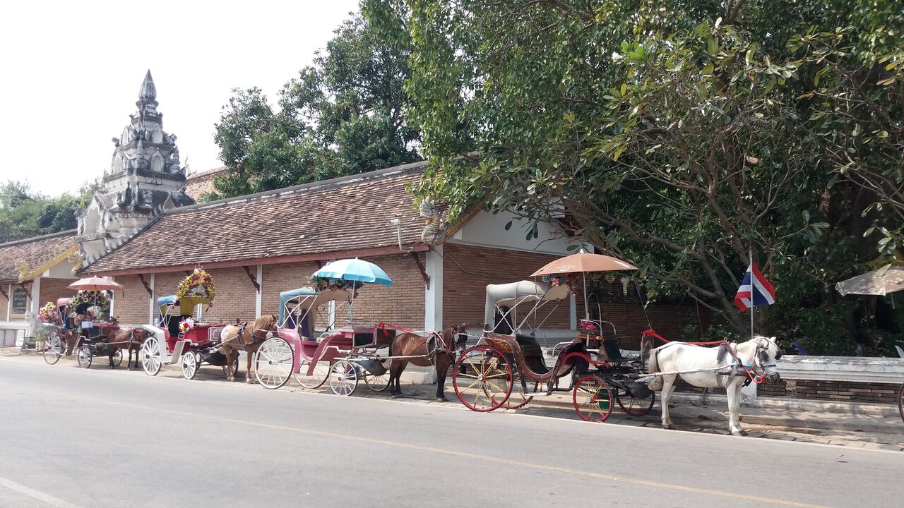 Symbols of Lampang - carriages in Lampang, photo: Daniel Karwicki