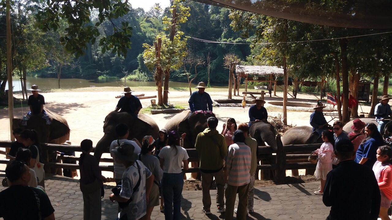 Thai Elephant Conservation Center in Lampang Province
