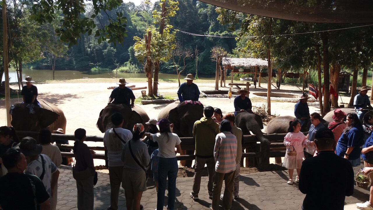 Thai Elephant Conservation Center in Lampang Province - photo: Daniel Karwicki