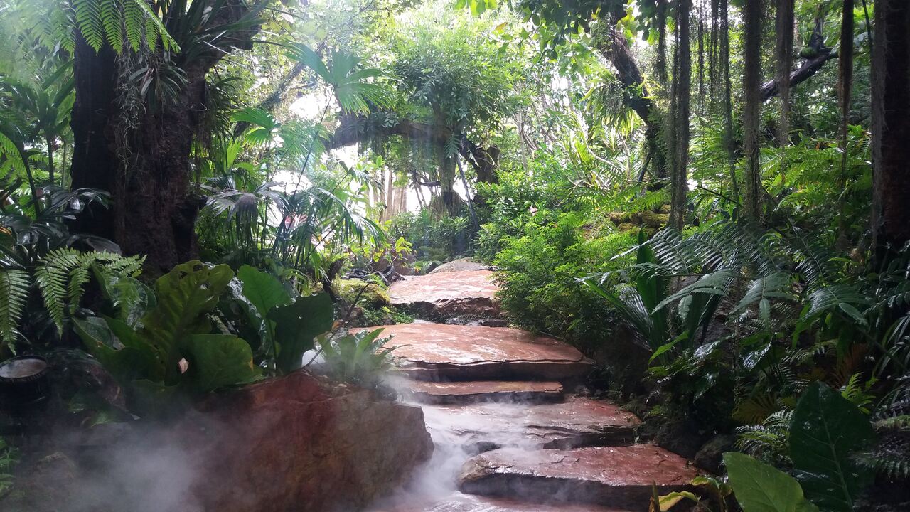 Papee Lanna Park - photo: Daniel Karwicki